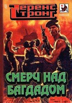 Читайте книги онлайн на Bookidrom.ru! Бесплатные книги в одном клике Теренс Стронг - Смерч над Багдадом