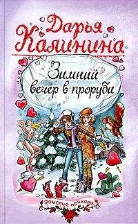 Читайте книги онлайн на Bookidrom.ru! Бесплатные книги в одном клике Дарья Калинина - Зимний вечер в проруби