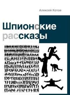 Читайте книги онлайн на Bookidrom.ru! Бесплатные книги в одном клике Алексей Котов - Шпионские рассказы (сборник)