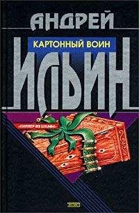 Читайте книги онлайн на Bookidrom.ru! Бесплатные книги в одном клике Андрей Ильин - Картонный воин