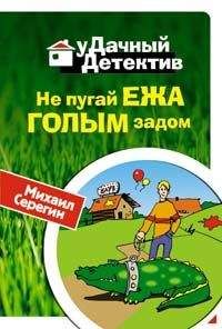 Читайте книги онлайн на Bookidrom.ru! Бесплатные книги в одном клике Михаил Серегин - Не пугай ежа голым задом