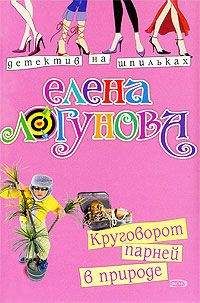 Читайте книги онлайн на Bookidrom.ru! Бесплатные книги в одном клике Елена Логунова - Круговорот парней в природе