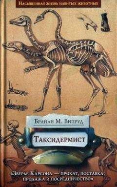 Читайте книги онлайн на Bookidrom.ru! Бесплатные книги в одном клике Брайан Випруд - Таксидермист
