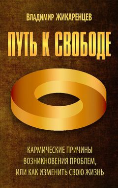 Читайте книги онлайн на Bookidrom.ru! Бесплатные книги в одном клике Владимир Жикаренцев - Путь к свободе. Кармические причины возникновения проблем, или Как изменить свою жизнь