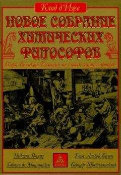 Читайте книги онлайн на Bookidrom.ru! Бесплатные книги в одном клике Клод д'Иже - Новое собрание химических философов