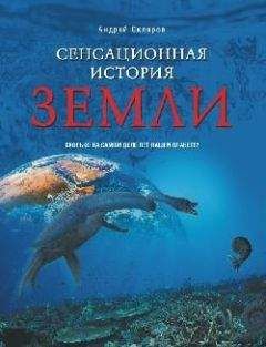 Читайте книги онлайн на Bookidrom.ru! Бесплатные книги в одном клике Андрей Скляров - Сенсационная история Земли