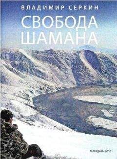 Читайте книги онлайн на Bookidrom.ru! Бесплатные книги в одном клике Владимир Серкин - Свобода Шамана