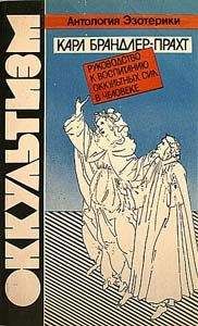 Читайте книги онлайн на Bookidrom.ru! Бесплатные книги в одном клике Карл Брандлер-Прахт - Оккультизм. Руководство к воспитанию оккультных сил в человеке