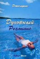 Читайте книги онлайн на Bookidrom.ru! Бесплатные книги в одном клике Джасмухин - Духовный резонанс