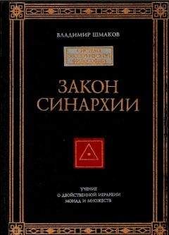 Читайте книги онлайн на Bookidrom.ru! Бесплатные книги в одном клике Владимир Шмаков - ЗАКОН СИНАРХИИ