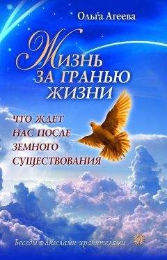Читайте книги онлайн на Bookidrom.ru! Бесплатные книги в одном клике Ольга Агеева - Жизнь за гранью жизни. Что ждет нас после земного существования