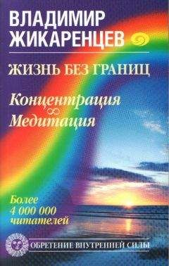 Читайте книги онлайн на Bookidrom.ru! Бесплатные книги в одном клике Владимир Жикаренцев - Жизнь без границ. Концентрация. Медитация