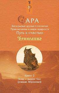 Читайте книги онлайн на Bookidrom.ru! Бесплатные книги в одном клике Эстер Хикс - Сара. Книга 2. Бескрылые друзья Соломона