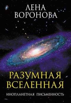 Читайте книги онлайн на Bookidrom.ru! Бесплатные книги в одном клике Елена Воронова - Разумная Вселенная. Инопланетная письменность