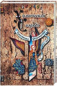 Читайте книги онлайн на Bookidrom.ru! Бесплатные книги в одном клике Валентин Андреэ - ХИМИЧЕСКАЯ СВАДЬБА ХРИСТИАНА РОЗЕНКРЕЙЦА