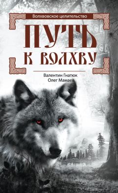 Читайте книги онлайн на Bookidrom.ru! Бесплатные книги в одном клике Олег Мамаев - Путь к волхву