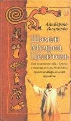 Читайте книги онлайн на Bookidrom.ru! Бесплатные книги в одном клике Альберто Виллолдо - Шаман, мудрец, целитель