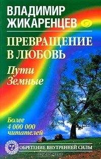 Читайте книги онлайн на Bookidrom.ru! Бесплатные книги в одном клике Владимир Жикаренцев - Превращение в Любовь. Том 1. Пути Земные