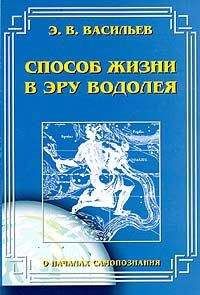 Читайте книги онлайн на Bookidrom.ru! Бесплатные книги в одном клике Э. Васильев - Способ жизни в Эру Водолея