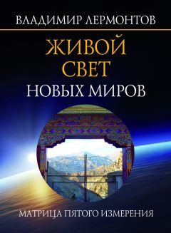 Читайте книги онлайн на Bookidrom.ru! Бесплатные книги в одном клике Владимир Лермонтов - Живой свет новых миров. Матрица пятого измерения