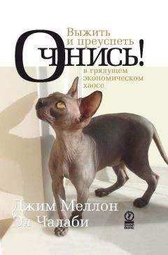 Читайте книги онлайн на Bookidrom.ru! Бесплатные книги в одном клике Эл Чалаби - Очнись! Выжить и преуспеть в грядущем экономическом хаосе