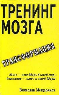 Читайте книги онлайн на Bookidrom.ru! Бесплатные книги в одном клике Вячеслав Мещеряков - Тренинг мозга