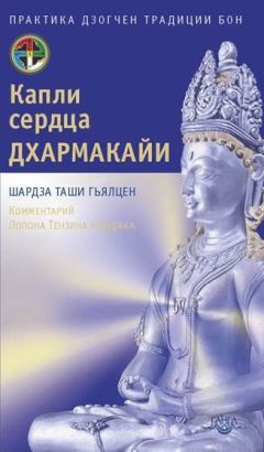 Читайте книги онлайн на Bookidrom.ru! Бесплатные книги в одном клике Шардза Гьяльцен - Капли сердца Дхармакайи