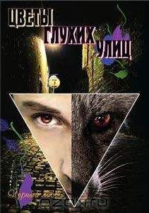 Читайте книги онлайн на Bookidrom.ru! Бесплатные книги в одном клике Чёрный Лис - Цветы глухих улиц