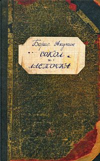 Читайте книги онлайн на Bookidrom.ru! Бесплатные книги в одном клике Борис Акунин - Сокол и Ласточка