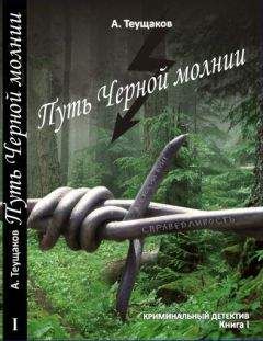 Александр Теущаков - Путь "Чёрной молнии"