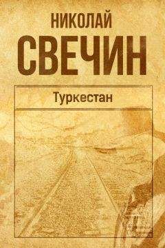 Читайте книги онлайн на Bookidrom.ru! Бесплатные книги в одном клике Николай Свечин - Туркестан