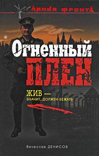 Читайте книги онлайн на Bookidrom.ru! Бесплатные книги в одном клике Вячеслав Денисов - Огненный плен