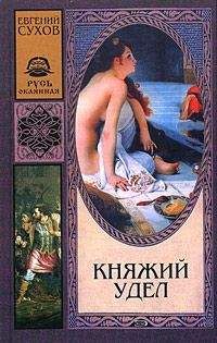 Читайте книги онлайн на Bookidrom.ru! Бесплатные книги в одном клике Евгений Сухов - Княжий удел