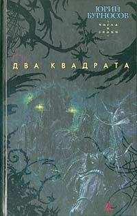 Читайте книги онлайн на Bookidrom.ru! Бесплатные книги в одном клике Юрий Бурносов - Два квадрата