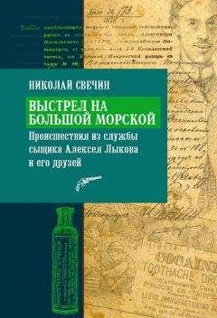 Читайте книги онлайн на Bookidrom.ru! Бесплатные книги в одном клике Николай Свечин - Выстрел на Большой Морской