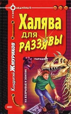 Читайте книги онлайн на Bookidrom.ru! Бесплатные книги в одном клике Кондратий Жмуриков - Халява для раззявы