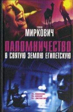 Читайте книги онлайн на Bookidrom.ru! Бесплатные книги в одном клике Томаш Миркович - Паломничество в Святую Землю Египетскую
