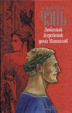 Читайте книги онлайн на Bookidrom.ru! Бесплатные книги в одном клике Мастер Чэнь - Любимый жеребенок дома Маниахов