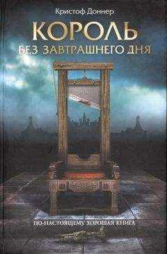 Читайте книги онлайн на Bookidrom.ru! Бесплатные книги в одном клике Кристоф Доннер - Король без завтрашнего дня