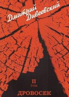 Читайте книги онлайн на Bookidrom.ru! Бесплатные книги в одном клике Дмитрий Дивеевский - Дровосек