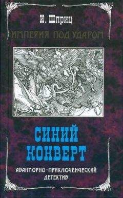 Читайте книги онлайн на Bookidrom.ru! Бесплатные книги в одном клике Игорь Шприц - Синий конверт