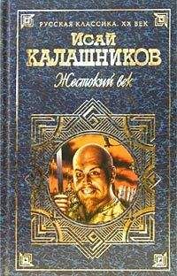 Читайте книги онлайн на Bookidrom.ru! Бесплатные книги в одном клике Исай Калашников - Жестокий век. Книга 1. Гонимые