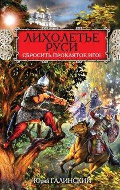 Читайте книги онлайн на Bookidrom.ru! Бесплатные книги в одном клике Юрий Галинский - Лихолетье Руси. Сбросить проклятое Иго!