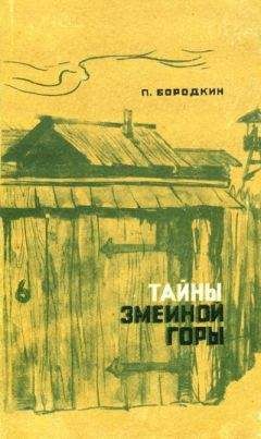 Читайте книги онлайн на Bookidrom.ru! Бесплатные книги в одном клике Петр Бородкин - Тайны Змеиной горы