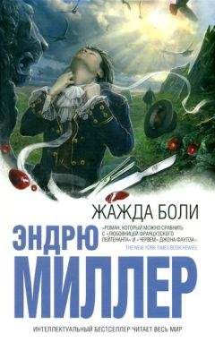 Читайте книги онлайн на Bookidrom.ru! Бесплатные книги в одном клике Эндрю Миллер - Жажда боли