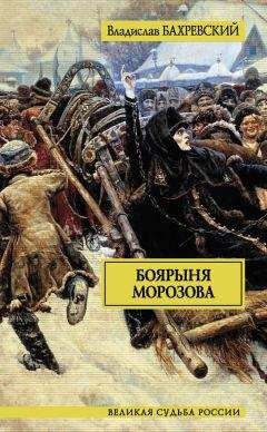 Читайте книги онлайн на Bookidrom.ru! Бесплатные книги в одном клике Владислав Бахревский - Боярыня Морозова