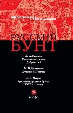 Читайте книги онлайн на Bookidrom.ru! Бесплатные книги в одном клике В. Мауль - Русский бунт