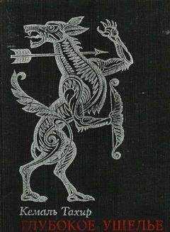 Читайте книги онлайн на Bookidrom.ru! Бесплатные книги в одном клике Кемаль Тахир - Глубокое ущелье