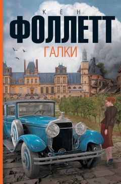 Читайте книги онлайн на Bookidrom.ru! Бесплатные книги в одном клике Кен Фоллетт - Галки