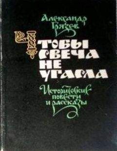 Читайте книги онлайн на Bookidrom.ru! Бесплатные книги в одном клике Александр Грязев - Чтобы свеча не угасла